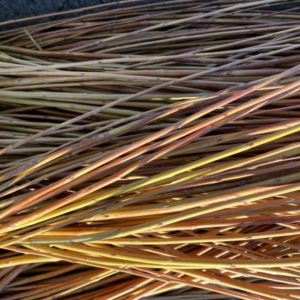 A bundle of long, thin, reddish-brown and yellow willow branches stacked together, resting on a dark, textured surface.