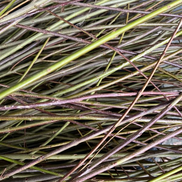 A close-up view of a tangled bundle of thin, brown and green twigs, overlapping and intersecting each other, creating a dense, textured pattern.