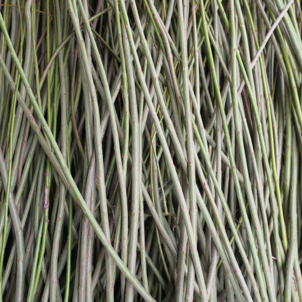 A close-up view of a large bundle of long, thin, greenish-brown sticks or plant stems, laid out in a crisscross pattern.