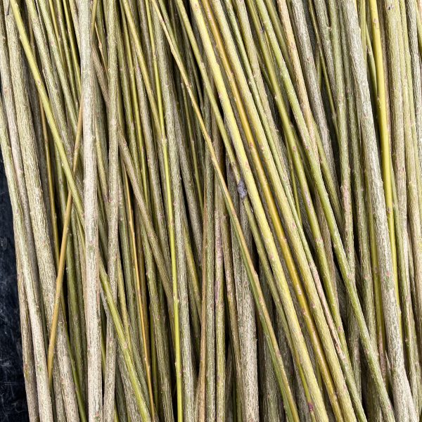 A close-up view of a bundle of long, thin, greenish-yellow stems or sticks arranged parallel to each other on a dark, textured surface.