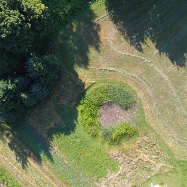 Aerial view of a grassy landscape with a circular, green patch surrounded by trees on the left and mowed fields on the right. The area features distinct shadows and curved lines from the cut grass.