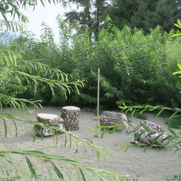 Four tree stumps arranged in a circle on sandy ground, surrounded by lush green bushes and trees. A wooden pole stands in the center of the stumps. Fern-like branches frame the image in the foreground.
