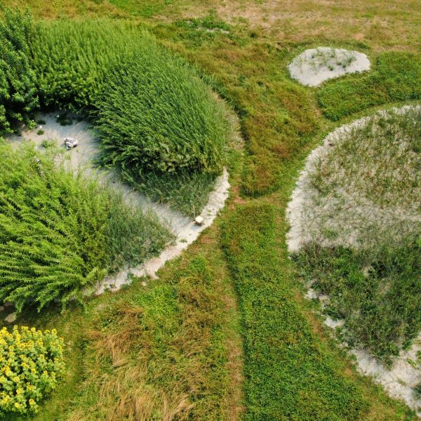 Aerial view of two large circular garden plots with dense green plants bordered by sand or white soil, surrounded by grassy areas and other vegetation.